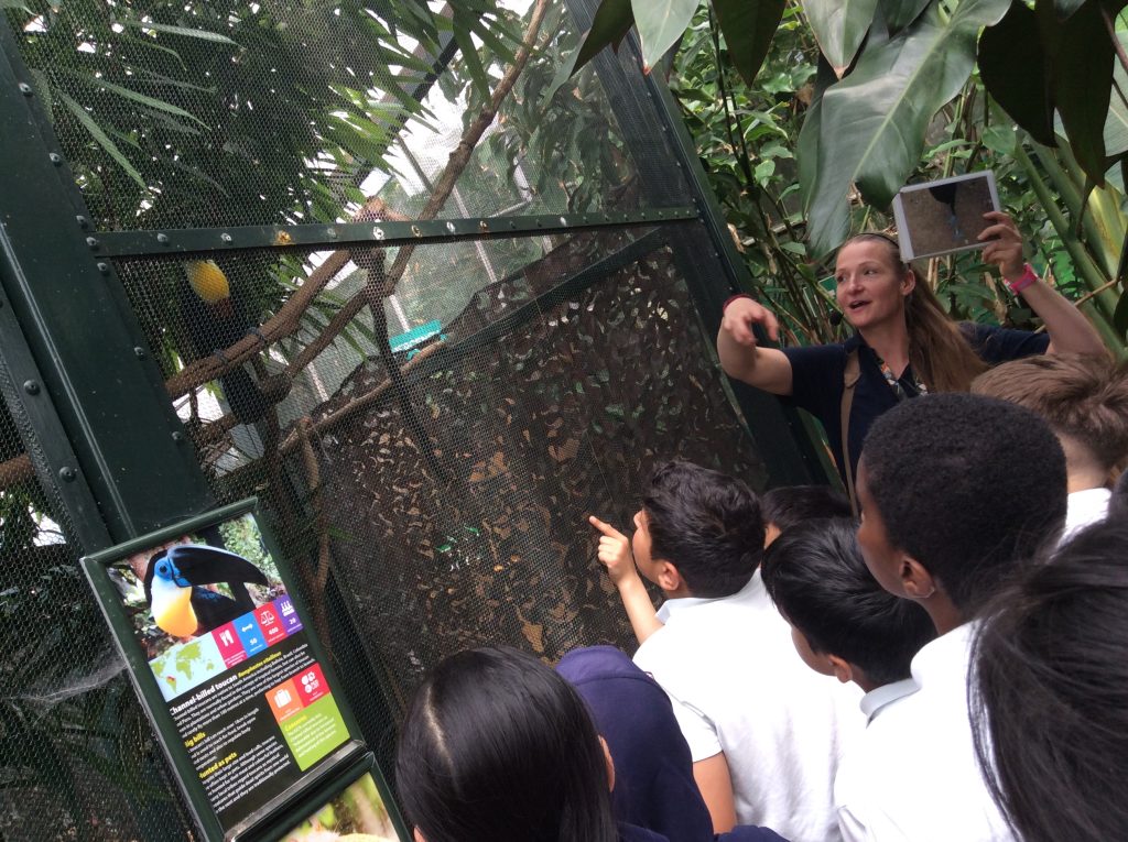 Y5 trip to The Living Rainforest
